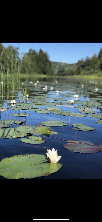 Glamping On Idyllic Lake, Paddle Boards & Rowboat ポールスグルン エクステリア 写真